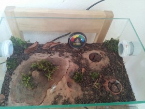 IMG-20170524-WA0027.jpg