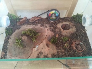 IMG-20170524-WA0024.jpg