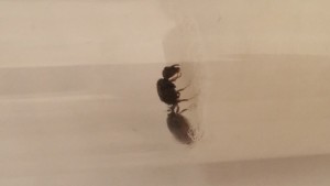 20170619_182646.jpg