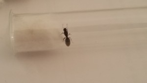20170619_182719.jpg