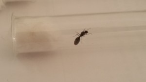 20170619_182724.jpg