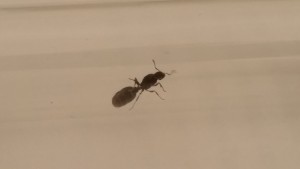 20170619_182732.jpg
