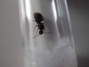 20170619211904.JPG