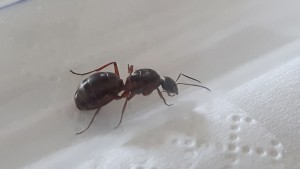 20170621_122544.jpg