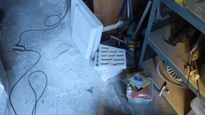 Nestbau1a.jpg