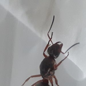 20170621_162950.jpg