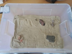 &quot;Formaquarium&quot;