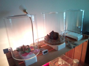 IMG_20170623_201543.jpg