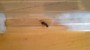 20170625_164252.jpg