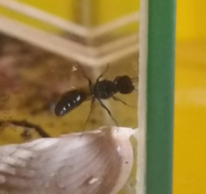 20170701_155846-1.jpg