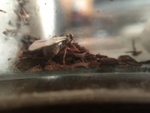 IMG_1551.JPG