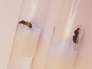 20170708_214019.jpg