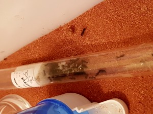 20170708_214142.jpg