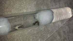 20170724_162432.jpg