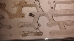 20170725_002917.jpg