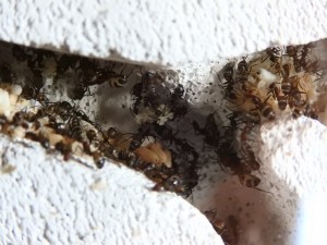 DSCN2143.JPG
