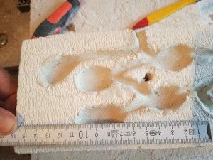 IMG_20170729_153809.jpg