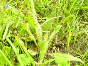 DSCN3371.JPG