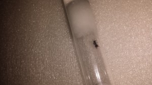 20170803_232822.jpg