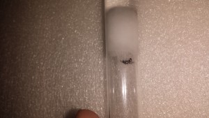 20170803_232654.jpg