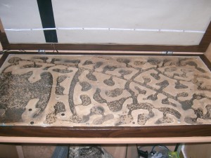 Das Nest