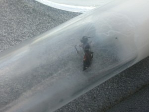 20170814_182333.jpg