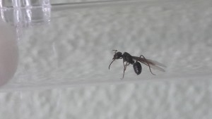 20170823_074157.jpg