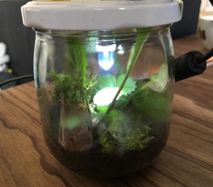 Wasser bildet sich nach ca. 4 Stunden