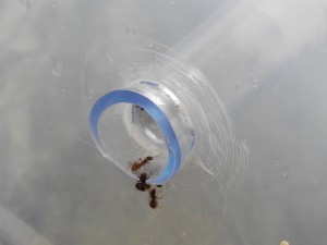 DSCN3714_.JPG