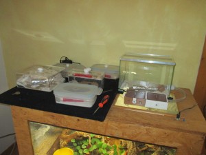 IMG_3045.JPG