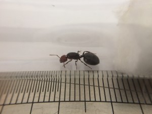 IMG_2356.jpg (949.42 KiB) 1611 mal betrachtet IMG_2356.jpg