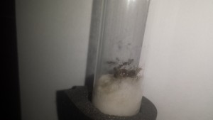 20170829_033608.jpg