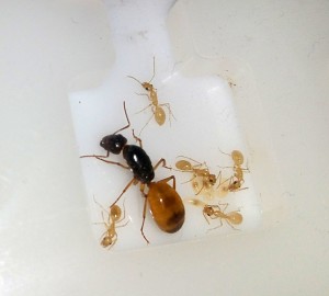 image106.1.jpg