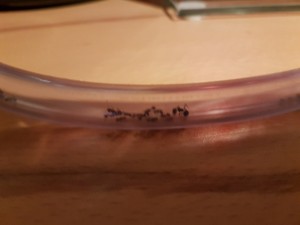 20171015_085148.jpg