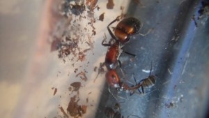 18970_6779a05a6f8c9679b1524b89dfafb01e