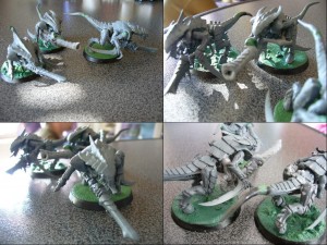 2- Krieger4.JPG