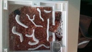 Gesamtes Nest (unten rechts, bei dem Belüftungsgitter, ist die Bewässerungsstelle mit Müll und Seramishaufen)