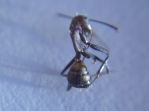 2017-11-02-16-02-56.jpg
