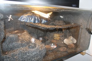IMG_1125.jpg