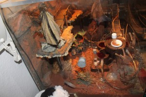 IMG_1127.jpg