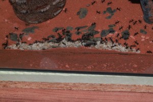 IMG_0056.jpg