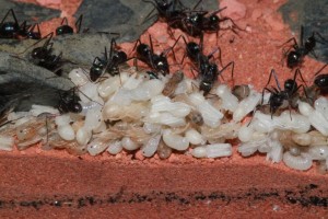 IMG_0057.jpg
