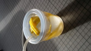 20171205_105125.jpg