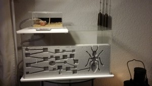 20171210_225101.jpg