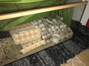 Schokoschaben 04.02.2018.jpg