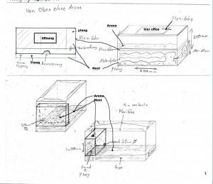 fomicarium.jpg