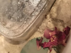 IMG_3667.JPG
