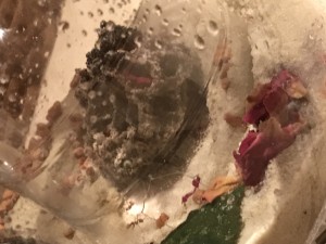 IMG_3690.JPG