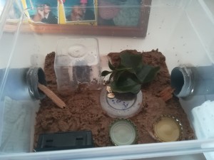 Anfangs Setup