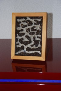 DSC_0016.jpg